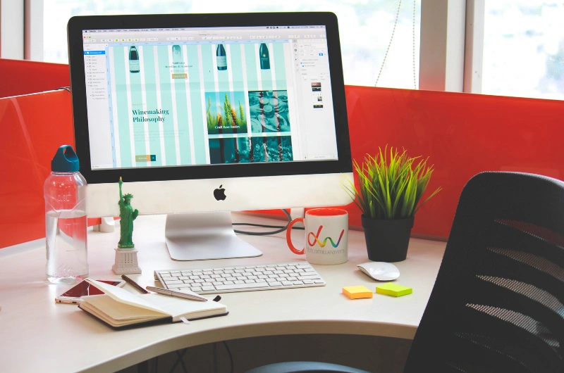 Professional Website Design Services in Nepal