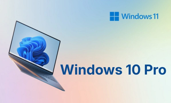 Windows 10 Pro